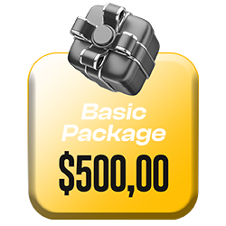 BASIC PACKAGE